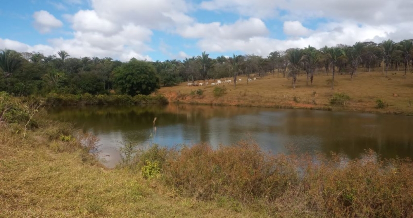 Fazenda com 2 salas à venda na Avenida Central, 1, Jardim Nova Esperança, Goiânia