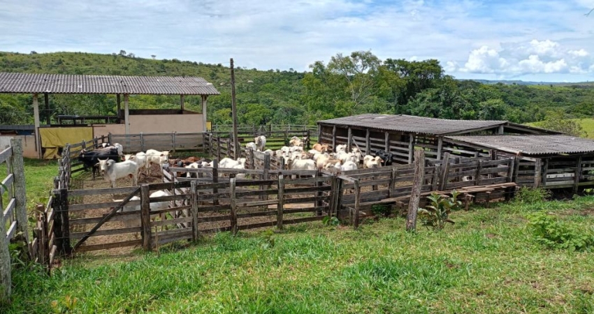 Fazenda à venda na Avenida Bernardo Sayão, 10, Setor Centro Oeste, Goiânia