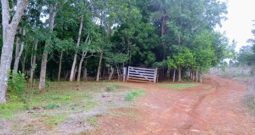 Terreno à venda na Avenida Bernardo Sayão, 2, Setor Centro Oeste, Goiânia