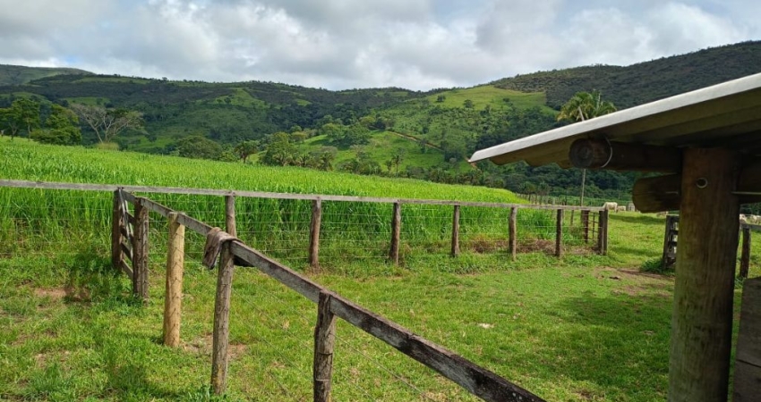 Fazenda com 2 salas à venda na Alameda do Botafogo, Setor Central, Goiânia