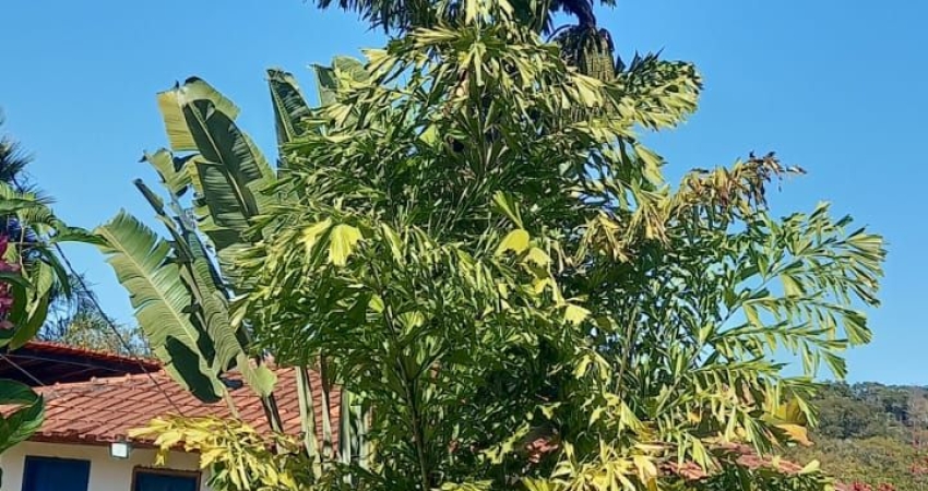 Fazenda com 2 salas à venda na Alameda do Botafogo, 20, Setor Central, Goiânia