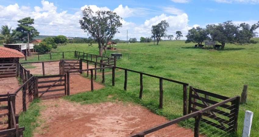 Fazenda com 3 salas à venda na Avenida Dorival de Carvalho, 2, Centro, Jataí