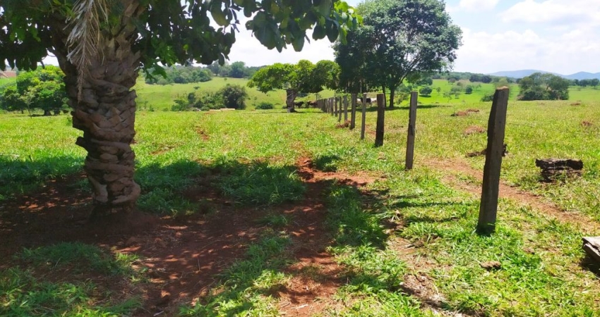Chácara / sítio com 3 quartos à venda na Praça Doutor Pedro Ludovico Teixeira, Setor Central, Goiânia