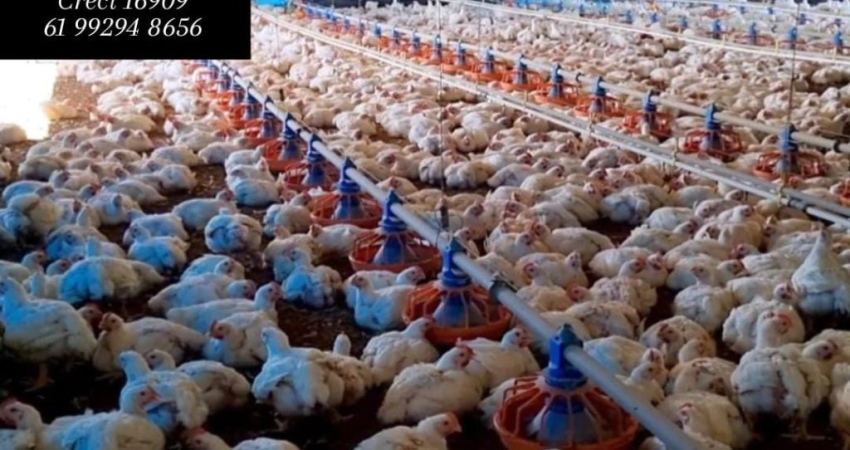 Fazenda com 3 salas à venda na Núcleo Rural Incra 6, 2, Brazlândia, Brasília