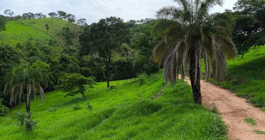 Fazenda com 2 salas à venda na Avenida Goiás, Setor Central, Goiânia