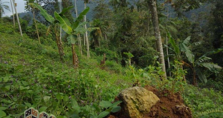 Terreno à venda em Ubatumirim, Ubatuba 