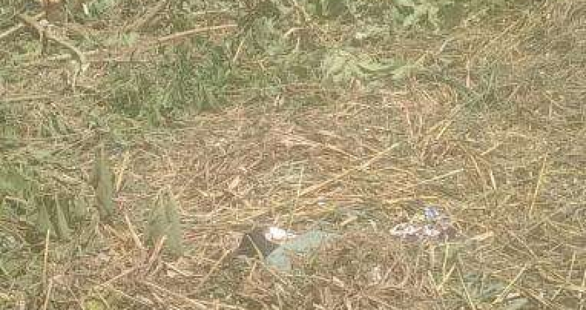 Terreno à venda no Morro do Algodão, Caraguatatuba 