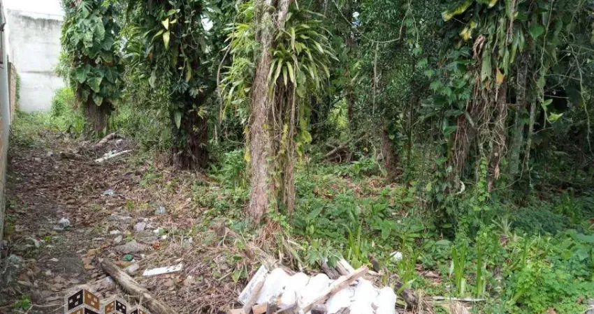 Terreno à venda no Jardim das Gaivotas, Caraguatatuba