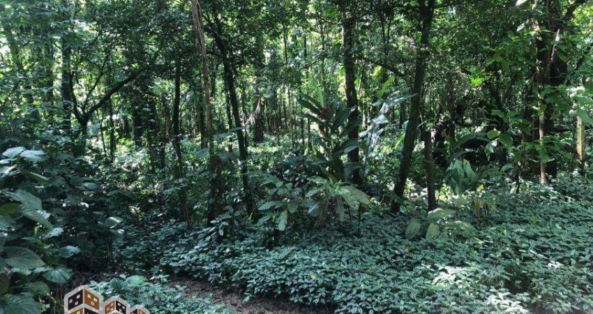 Terreno à venda na Barra do Una, São Sebastião 