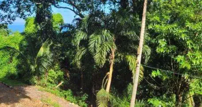 Terreno à venda no Feiticeira, Ilhabela 