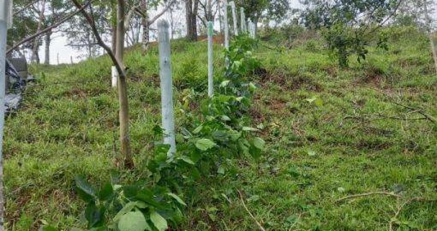 Terreno à venda no Pegorelli, Caraguatatuba 