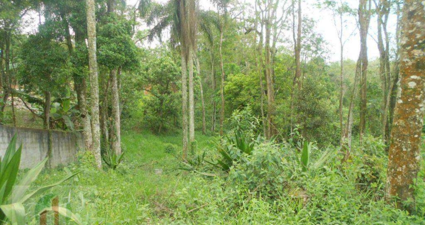 Terreno à venda, 2897 m² por R$ 530.000,00 - Lagoa - Vargem Grande Paulista/SP