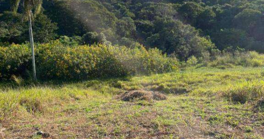 Terreno à venda, 125 m² por R$ 140.000,00 - Chácara Roselândia - Cotia/SP