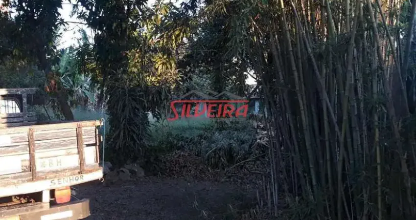 Terreno à venda na Santa Amélia, Belo Horizonte 