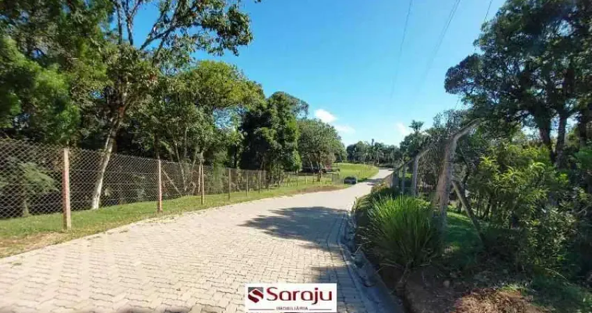 Chácara / sítio com 1 quarto à venda na Rodovia BR-277, 20875, Borda do Campo, São José dos Pinhais