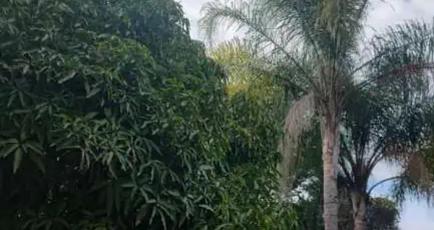 Chácaras para venda em Ipero no bairro Não Especificado