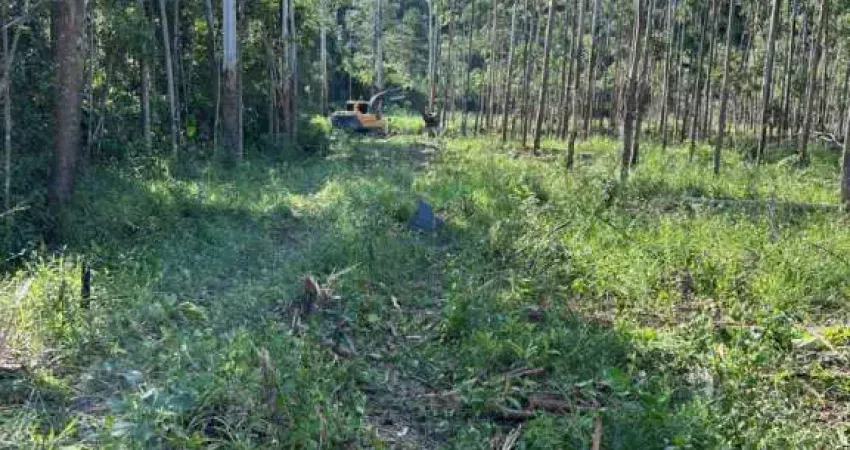 Chácara / sítio à venda na Estrada Geral do Rio do Meio, Rio do Meio, Itajaí