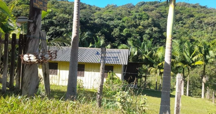 Chácara / sítio com 2 quartos à venda no Alto Máximo, Luiz Alves 