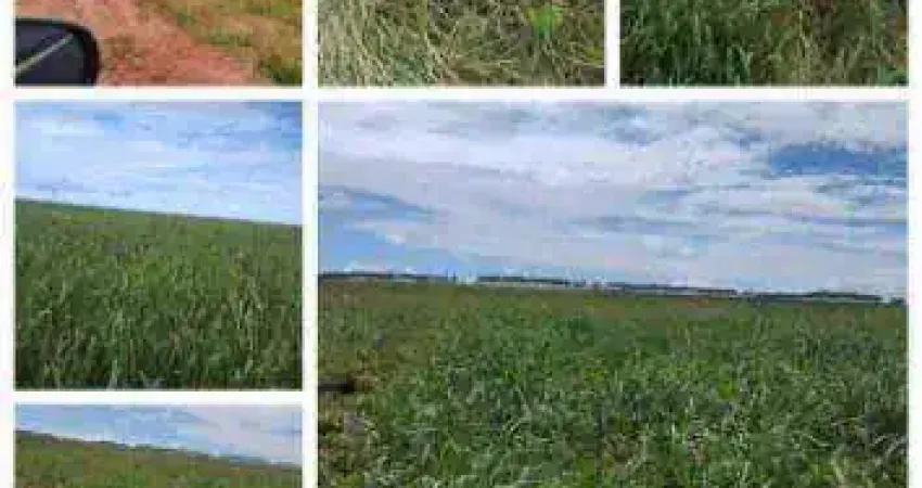 Fazenda à venda, 22600000 m² por R$ 80.000.000 - Zona Rural - Sapezal/MT