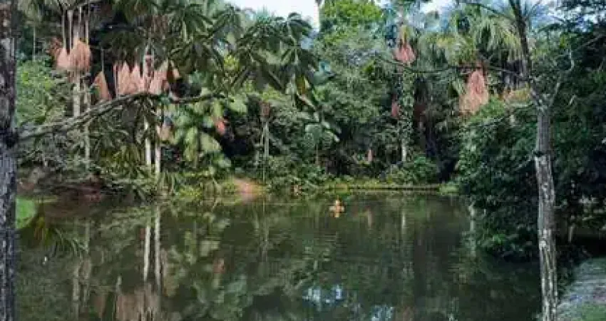 Casa com 3 quartos à venda no Tarumã-Açu, Manaus
