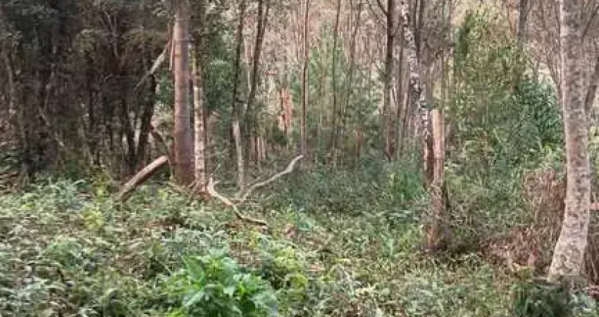Chácara / sítio à venda na Zona Rural, Curitiba 