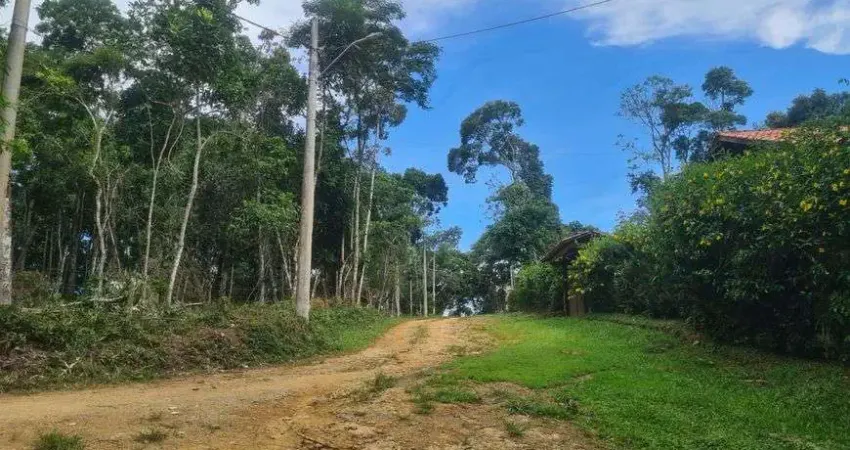 Lote/Terreno para venda tem 1634 metros quadrados em Ipiabas - Barra do Piraí - RJ