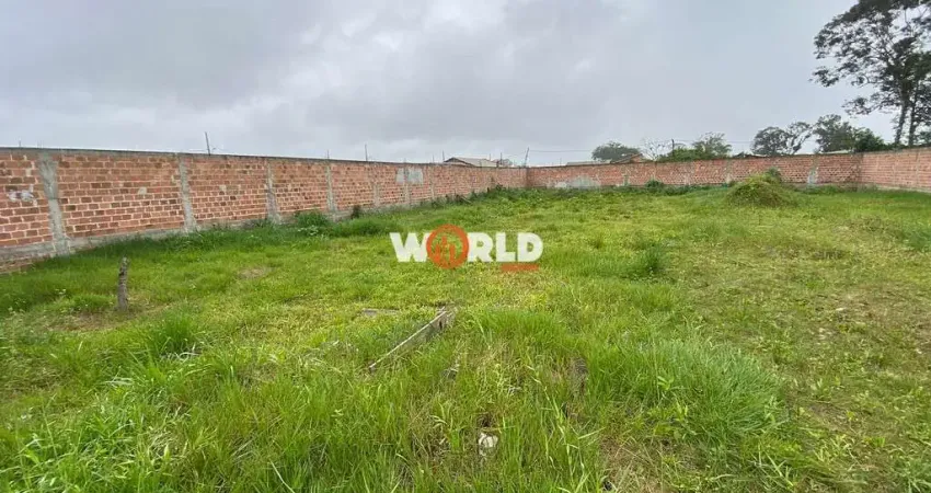 Terreno todo murado