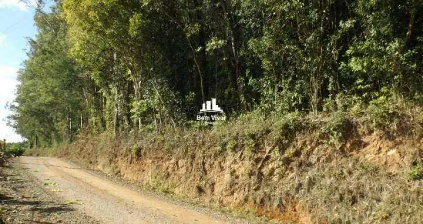 Terreno à venda na Linha Faria Lemos, Zona Rural, Monte Belo do Sul