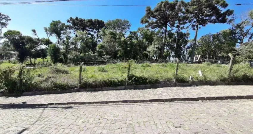 Terreno à venda na Rua Ernesto Alves, Juventude, Garibaldi