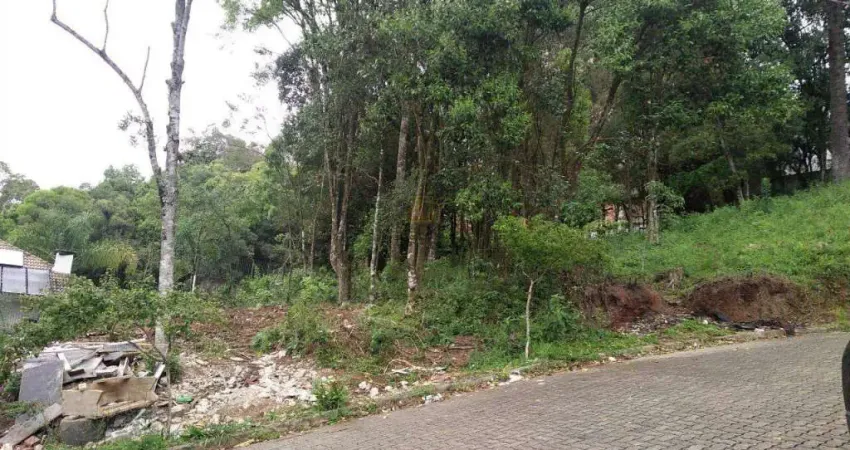 Terreno à venda na Rua Alameda das Araucárias, 12, Borgo, Bento Gonçalves