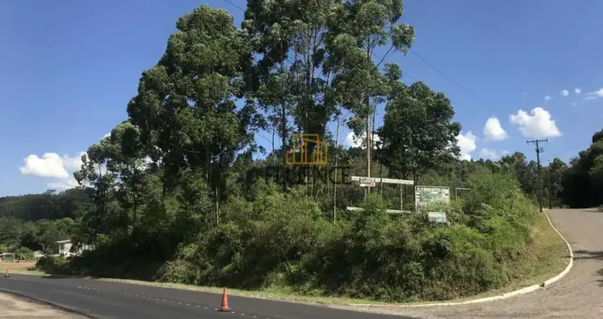 Terreno à venda na Rodovia BR 470, Operário, Barão