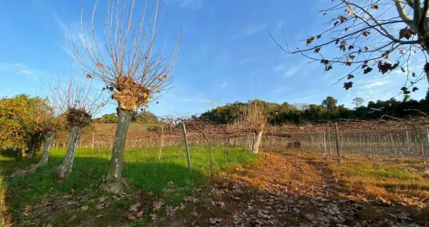 Terreno à venda na Santa Tereza, s, Centro, Santa Tereza