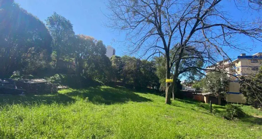 Terreno à venda na Rua Uliem Miguel, s, Borgo, Bento Gonçalves