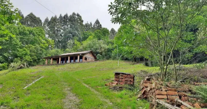 Chácara / sítio à venda na Linha Vitória, Bela Vista, Carlos Barbosa