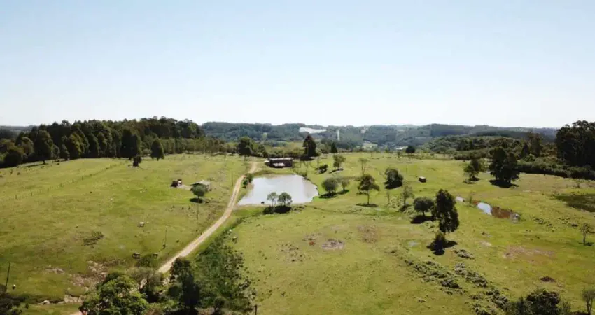 Chácara / sítio à venda na Linha Peasi, Nova Sardenha (Distrito), Farroupilha