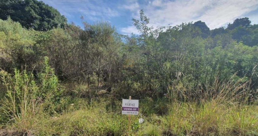 Lindo terreno lote 86 Loteamento Reserva das Araucárias
