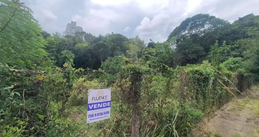 Maravilhoso terreno próximo ao trevo do Santa Rita/ Br 470