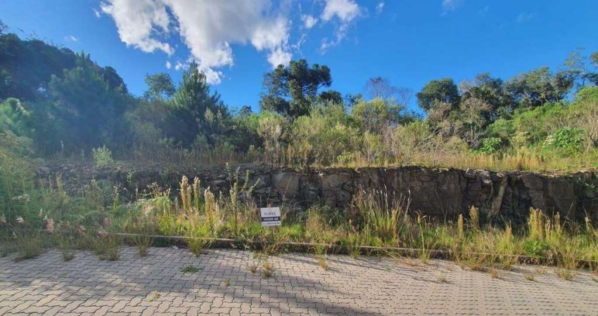 Lindo terreno no loteamento Reserva Das Araucárias no Santo Antão