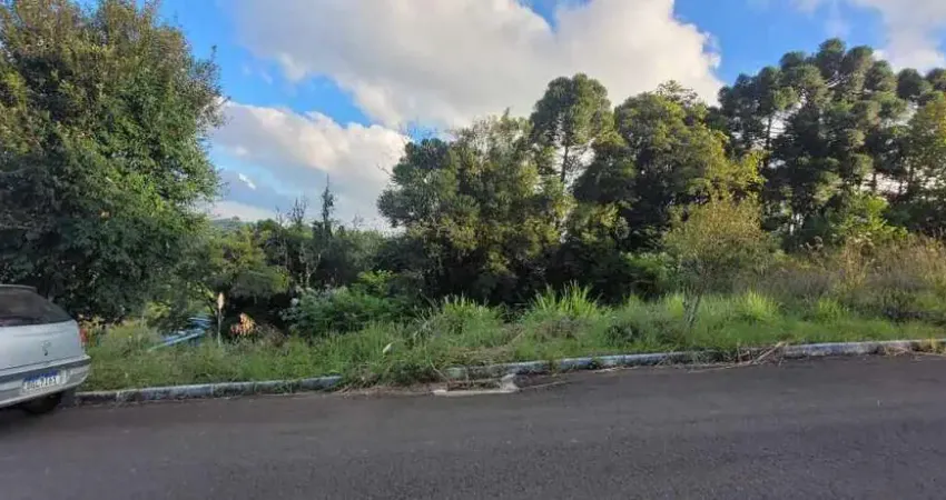 Terreno à venda na Rua das cerejeiras, 8, Centro, Barão