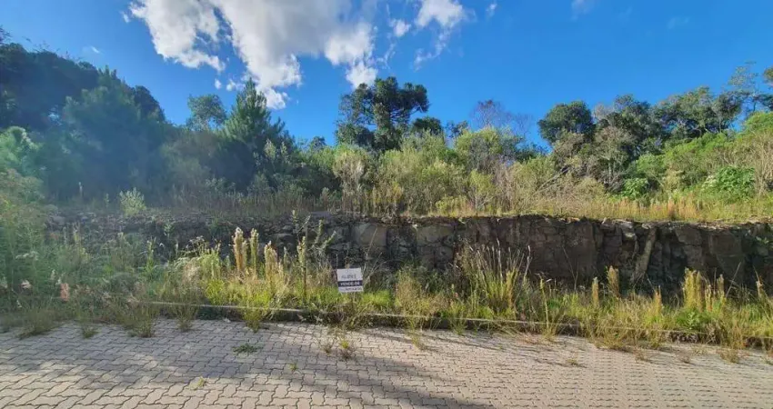 Lindo terreno no loteamento reserva das araucárias no santo antão