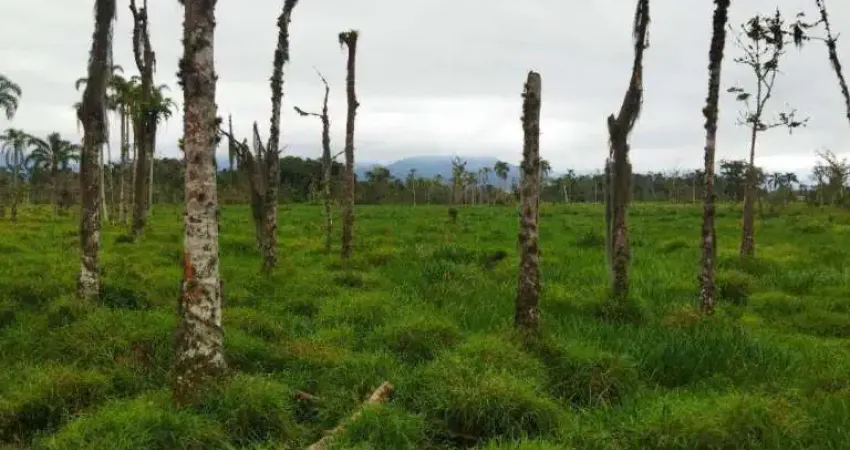 Área à venda, 30000 m² por R$ 1.900.000,00 - Barranco Alto - Caraguatatuba/SP
