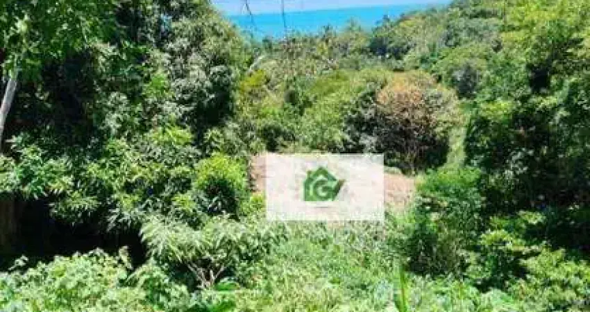 Terreno à venda, 983 m² por R$ 900.000,00 - Siriúba - Ilhabela/SP