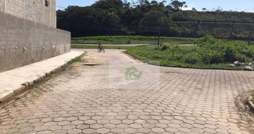 Terreno à venda, 260 m² por R$ 270.000,00 - Jardim Capricórnio - Caraguatatuba/SP
