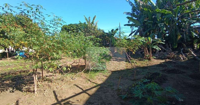 Terreno à venda, 228 m² por R$ 250.000 - Praia das Palmeiras - Caraguatatuba/SP