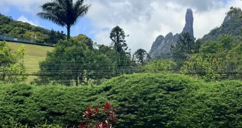 Terreno à venda na Rua Carlos Guinle, 200, Carlos Guinle, Teresópolis