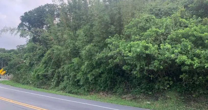 Terreno em condomínio fechado à venda na Estrada Francisco Thomas dos Santos, Morro das Pedras, Florianópolis