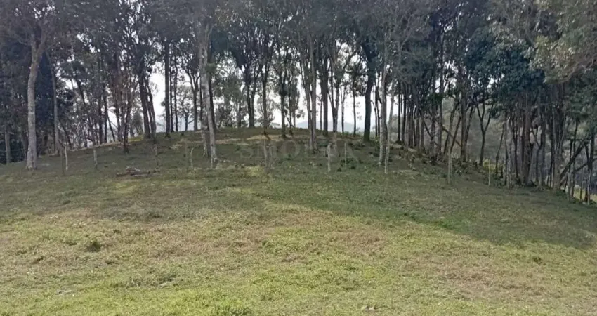 Terreno em condomínio fechado à venda no Braço São João, Santo Amaro da Imperatriz 