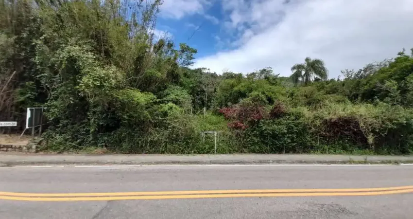 Terreno em condomínio fechado à venda na Rodovia Baldicero Filomeno, Ribeirão da Ilha, Florianópolis