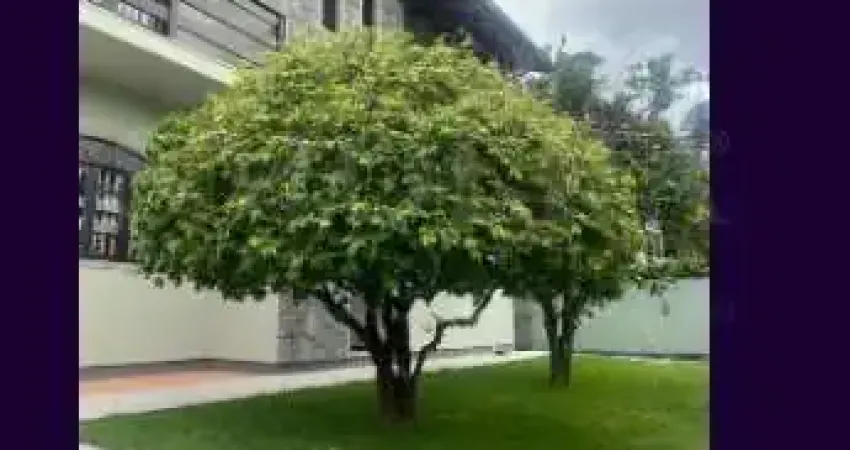 Casa em condomínio fechado com 4 quartos à venda na Servidão Corintians, Pantanal, Florianópolis