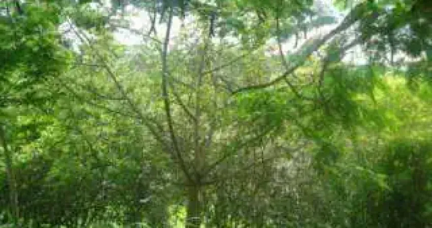 Terreno em condomínio fechado à venda na Rua Cataldo Bove, s/n, Colinas do Ermitage (Sousas), Campinas